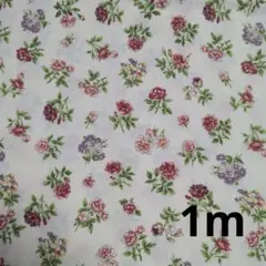 Item thumbnail for item fbd10c23-f187-47b4-9c5b-106d2061397d