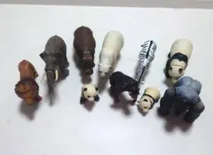 2026年最新】アニア まとめ売りの人気アイテム - メルカリ