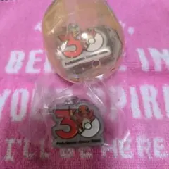 ポケモン 30周年記念チャーム　ガチャガチャ