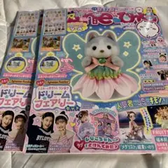 aneひめ vol.19 本のみ　2冊