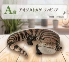 一番くじ　爬虫類＆両生類　A賞 アオジタトカゲ