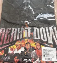 Item thumbnail for item 5d6b11f5-9123-4a54-abb0-8cb659190b6f