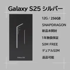 galaxy s25 国内版