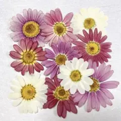 Haru工房❁⃘*.゜様 リクエスト 3点 まとめ商品