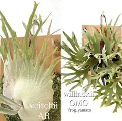 ｊａｍｓ様 リクエスト 3点 まとめ商品