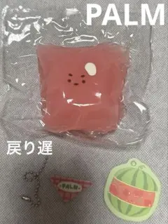 PALM スイカアイス スクイーズ ドライクリーム感