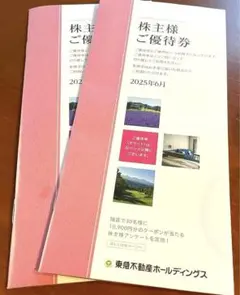 東急不動産　株主優待券 2冊(ホテルハーヴェストは無し)