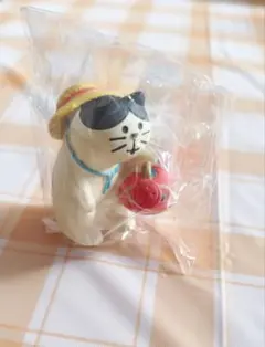 コンコンブル ❣️ (水遊び子猫)