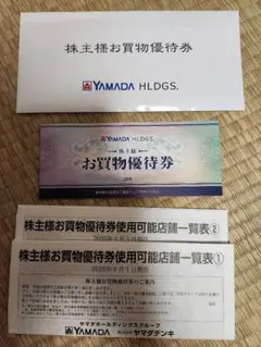 YAMADA HLDGS. ヤマダ電機　お買い物優待券　5000円分