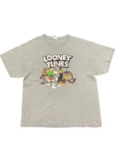 値段交渉可！DELTA PRO WEIGHT Tシャツ