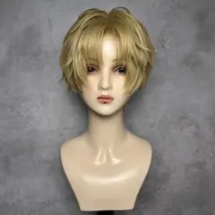 No.241】サンプル品 ウィッグオーダー受付中！ - メルカリ