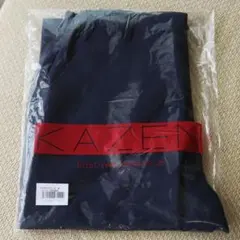 Item thumbnail for item 8c2668ce-be71-4fa8-a5ba-431602d5f4d8