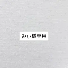 みぃ様専用