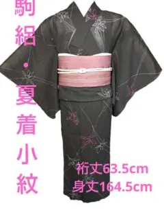 A99愛華 洗える夏着物 花と蝶 正絹 美品 身丈 161cm - メルカリ