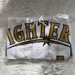 日本ハムファイターズ北海道20周年記念 ユニフォーム Mサイズ 19 玉井大翔のサムネイル