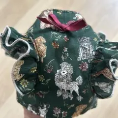 Item thumbnail for item 368d6252-dce6-402e-9c68-fc53c5d49e32