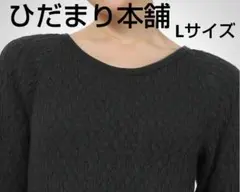 新商品 ひだまり 富士 LL - メルカリ
