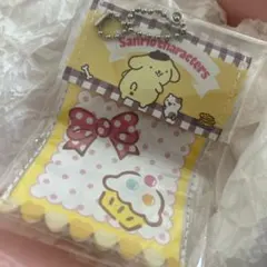 サンリオキャラクターズ PKG風ミニ小物入れ