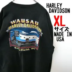 修復済 使用感あり ハーレーダビットソン　HARLEY DAVIDSON ロンT