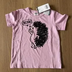 新品　ブリーズ　ハリネズミ　半袖Tシャツ