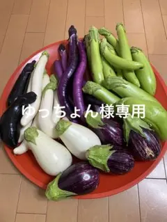 ゆっちょん様専用です♪