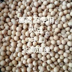令和7年度秋田県産大豆(リュウホウ)箱込1.8㎏ - メルカリ