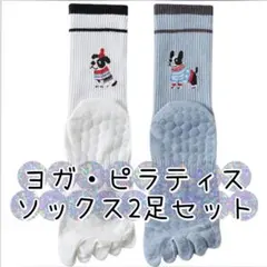【新品未使用】ヨガ・ピラティスソックス2足セット