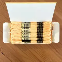 Item thumbnail for item 06adb00e-47cc-4a8a-91c3-d682e319e093