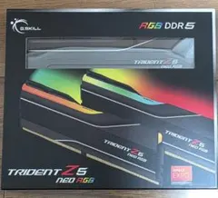 【G.SKILL】F5-6000J3636F16GX2-TZ5NR