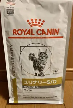 Item thumbnail for item cf2f2357-0278-4e6e-89cc-150882f33945