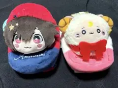 2026年最新】天月 ぬいぐるみの人気アイテム - メルカリ