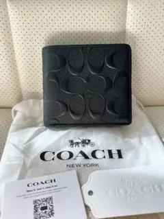 Item thumbnail for item 5a24345c-85bf-4cd3-8579-ccf303bbbf92