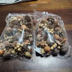 Item thumbnail for item a5c48b80-1d2e-404f-9102-330e7ab2a8d9