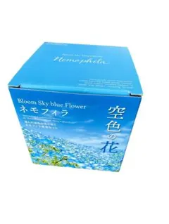 Item thumbnail for item b9e3fd13-9b12-454f-bcfe-0e63fe0c9eb5