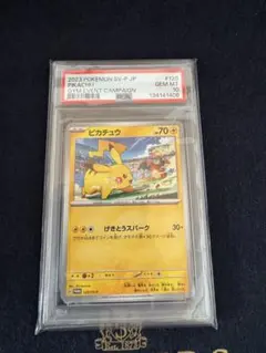 m90143388367_1.jpg?1771644385