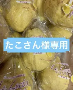 たこさん様専用