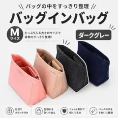 バッグインバッグ M グレー フェルト 収納 インナーバッグ ロンシャン 軽量のサムネイル