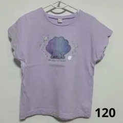 120)アプレレクール シェルモチーフ Tシャツ パープル