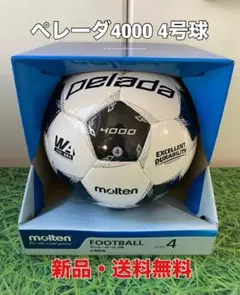 Item thumbnail for item 84fe73a3-86d0-484d-b470-100bc846d57d