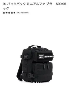い　WOLFpak バックパック　25L リュック Amazon.co.jp: WOLFpak 25L バックパック (アイス限定版), アイス限定
