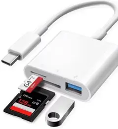 Item thumbnail for item 1cac7cbc-e16c-4a78-a377-f6244e6ea8b9