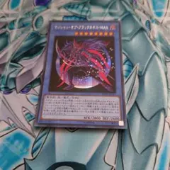 遊戯王　マジシャン・オブ・ブラックカオス MAX シクレア1枚