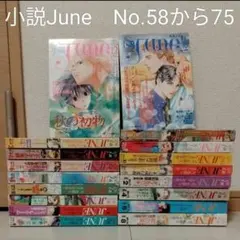 小説JUNE 1985～1989年9冊セット - メルカリ