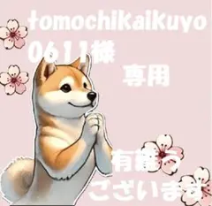 【tomochikaikuyo0611様　専用】
