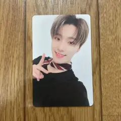 디노 seventeen 2021 シーグリ ディノ トレカ