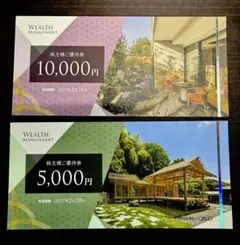 WEALTH MANAGEMENT 15,000円分のサムネイル