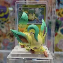 お*り様 リーフィア　中国限定　正規品　ポケモンカード　カード　フィギュア