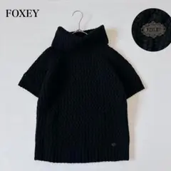 2026年最新】タートル ニット フォクシーの人気アイテム - メルカリ