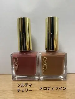 excel ネイルポリッシュ N 2本セット NL10 NL39のサムネイル