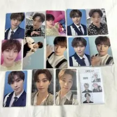 ディノ DREAM まとめ売り